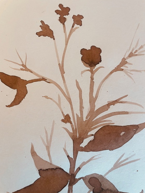 Image 1 of Painting, monochrome sepia still life "dried flowers", signed