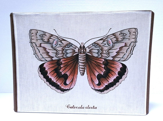 Image 1 of Suspension Papillons Trois Faces Tissu Années 90