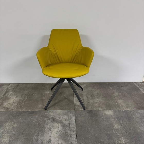 Image 1 of 4x bert plantagie Maple stoelen