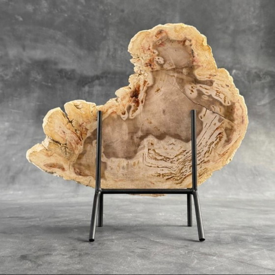 Image 1 of Madera fosilizada de Sooka, soporte hecho a medida (nuevo)