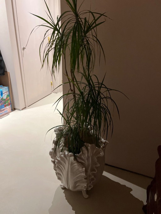 Cache pots Tulipe