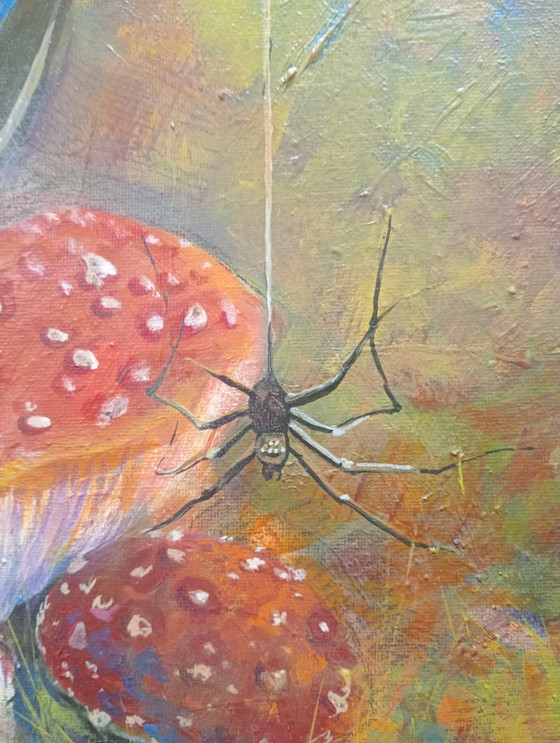 Image 1 of champignon