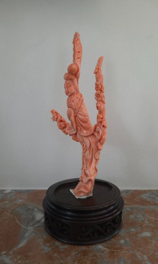 Coral Sculpture - 20th Century - Carved Coral (ref 4117)