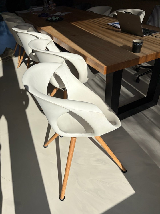 Sedie da pranzo di design Tonon – Metallo, Plastica (photo 2 of 6)