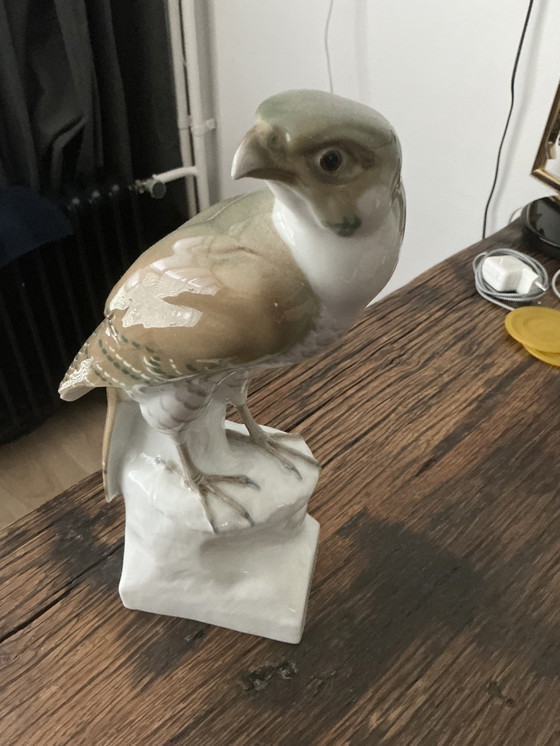 Image 1 of Falcon / sparrowhawk with mark and name Meise <<? Perfect figurine