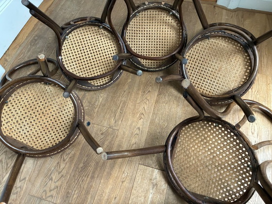 Image 1 of Set di 5 sedie Thonet n. 18 di ZPM Radomsko