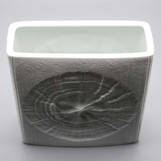 Image 1 of Martin Freyer Rosenthal Studio Line Bisque Porcelain Vintage H 24 cm Fossil Vase