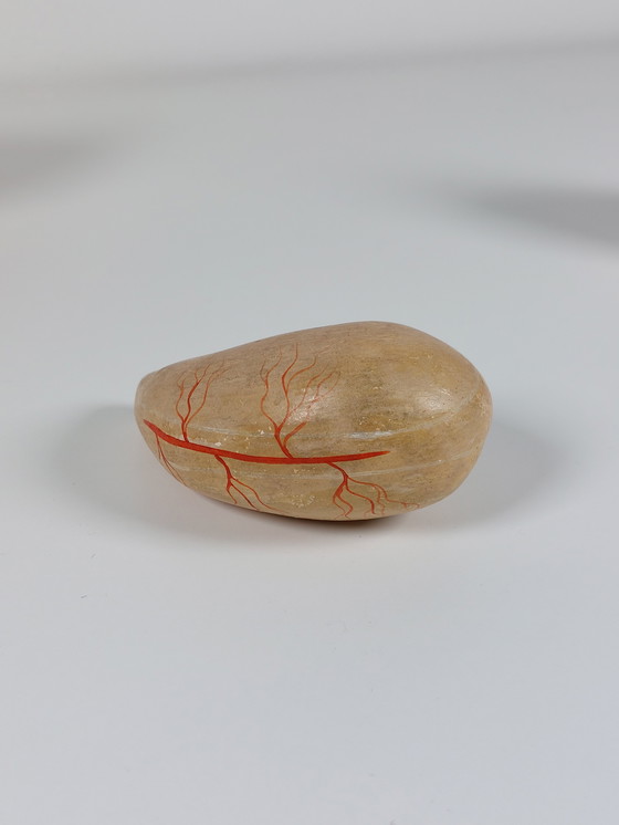 Image 1 of Vecchio modello anatomico didattico, gesso Phywe, torso anni '40