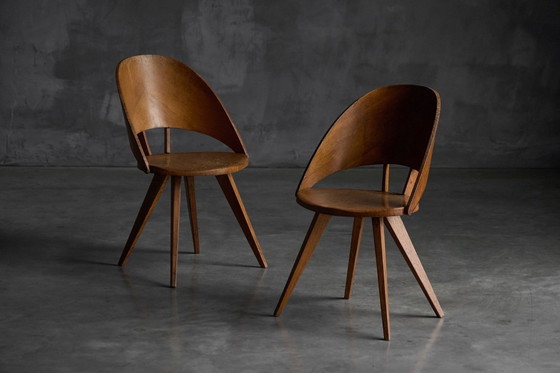 Image 1 of Mid-Century Plywood Dining Chairs, Italy, 1950s