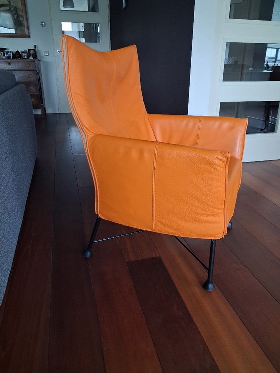 Image 1 of Montis Charly