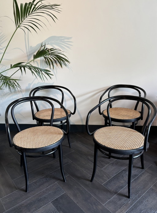 4 Ligna Thonet style stoelen