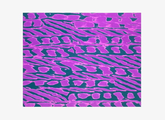 Image 1 of ANONYME Effet III Siebdruck 1970
