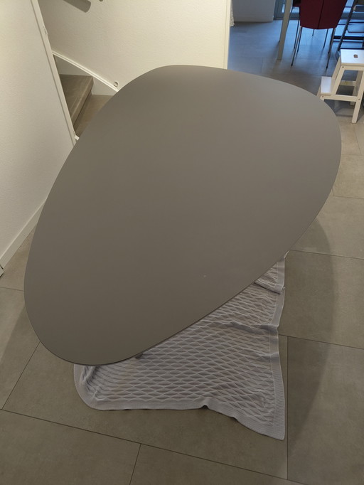 Castelijn Circlips dining table