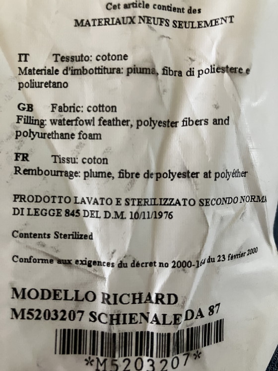 Image 1 of B&B Italia Richard