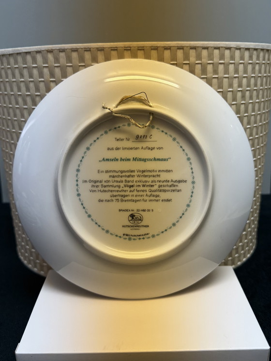 Image 1 of 🐦 „Vögel im Winter“ | Handbemalte Porzellanteller für Sammler | Hutschenreuther | Limitierte Auflage | Neuwertiger Zustand