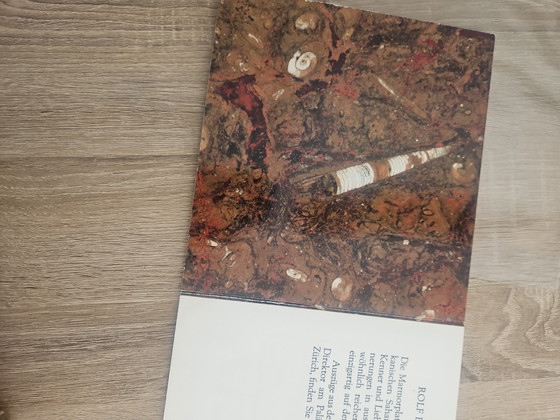 Beautiful Rolf Benz Coffee Table Fossil Marble from 1977 – Stone, Wood (photo 9 of 15)
