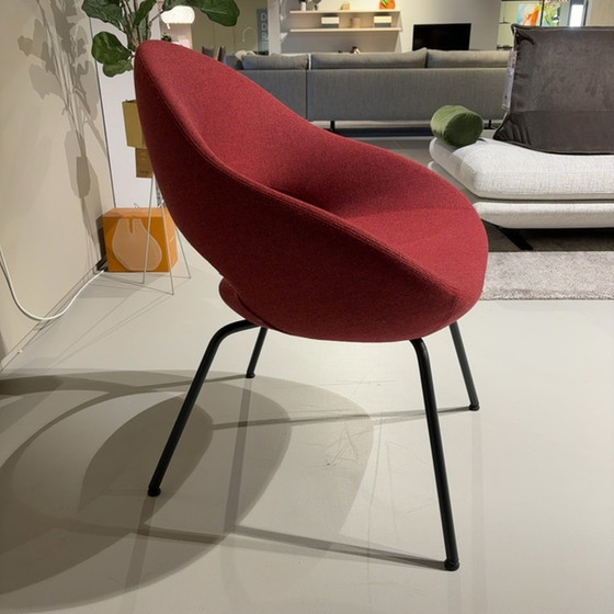 Image 1 of Sedia da pranzo Artifort Shark (set di 4)