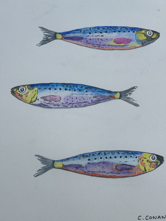 Acquerello Sardine – canson, Decorazioni murali, Paper (photo 7 of 8)
