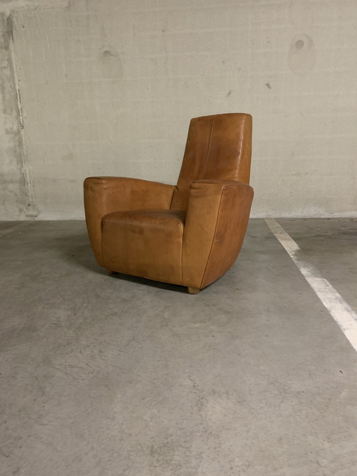 “LONGA” Gerard van den Berg con finimenti in pelle/pelle di bufalo.