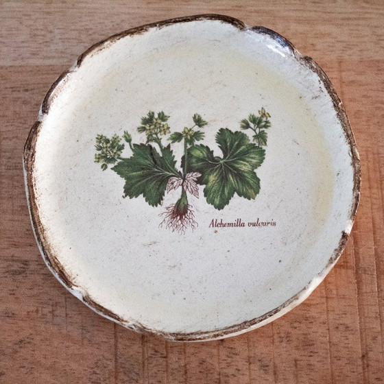 Sottobicchieri vintage fiorentini con motivo botanico: set in legno da 8 pezzi – Oggetti decorativi, Wood (photo 7 of 12)