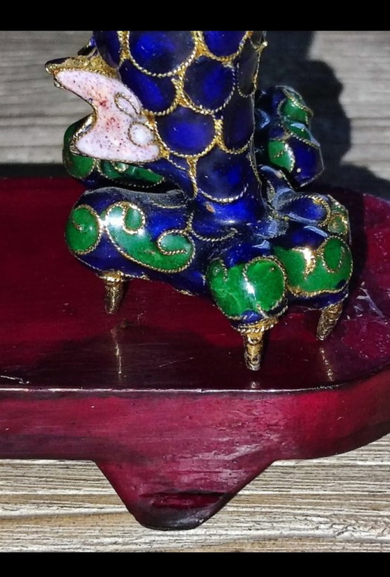 Image 1 of Rare Chambered Dragon