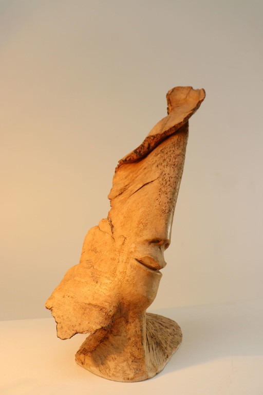 Martiene Stevens - Sopravvissuto