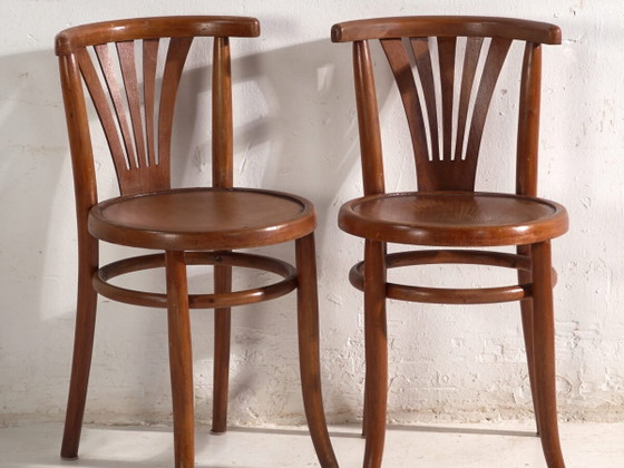 Sedie antiche in legno curvato stile Thonet – Ungheria, circa 1960 #7 – Sedie da pranzo (photo 2 of 40)