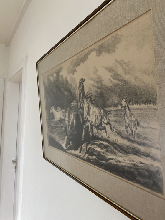 Image 1 of Disegno con i cavalli di John Paymans