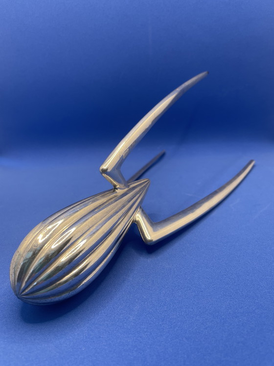 Image 1 of Alessi citruspers