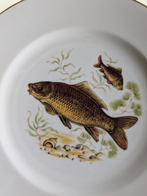 Image 1 of Rarità! Servizio vintage di porcellana con motivi di pesci e bordo dorato | Hutschenreuther, Selb, Eschenbach | Dipinto a mano