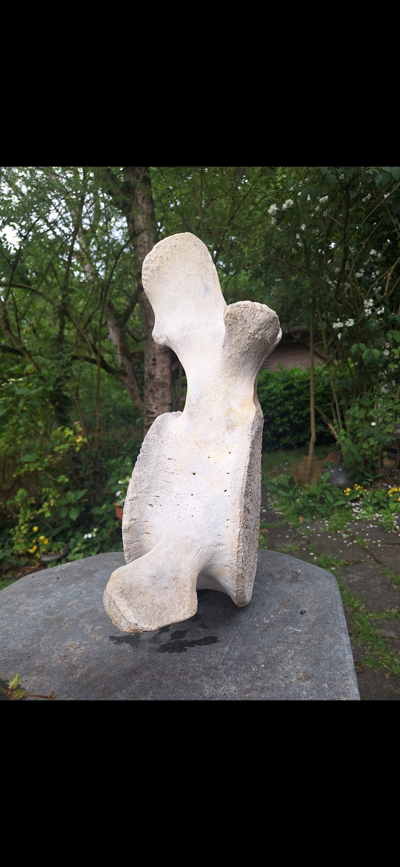 Scultura del Mare – Oggetti decorativi, Other (photo 5 of 5)