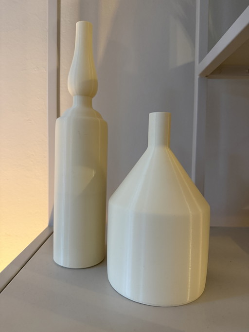 Lot de 2 vases Morandibio