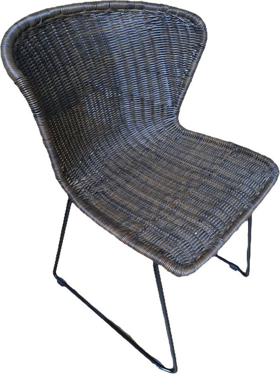 Image 1 of Sedie da pranzo Wood Wings 4x