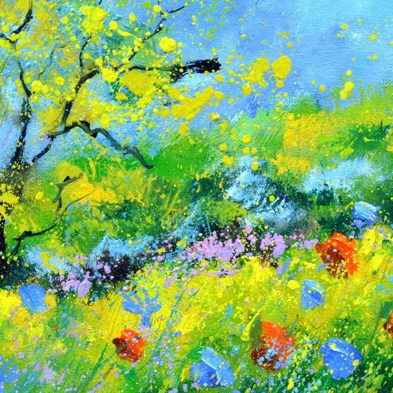 Image 1 of Summer 5426