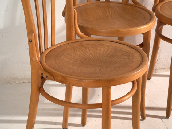 Antique chairs in Thonet style bentwood – Central Europe, circa 1930 #1 – Dining chairs (photo 19 of 40)