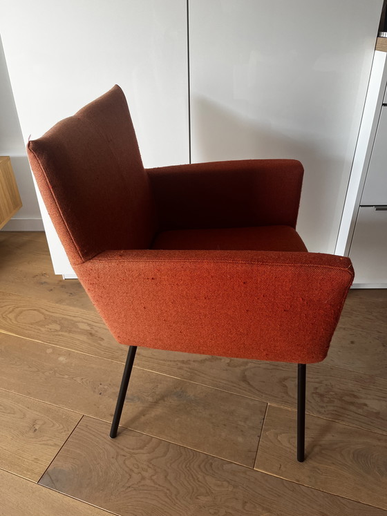 Image 1 of 4 sofort lieferbare Esszimmerstühle