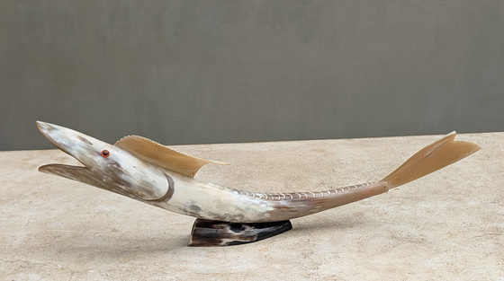 Image 1 of Grote vis creatie in buffelhoorn.