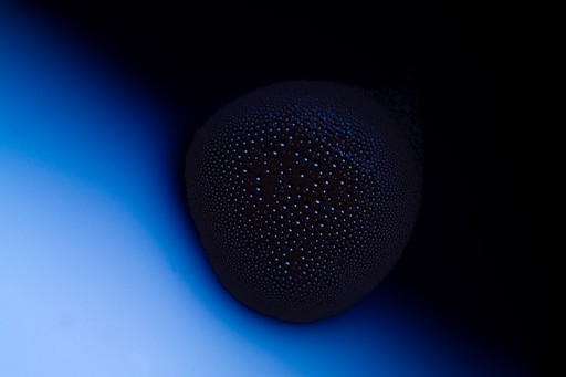 Composizione con il blu