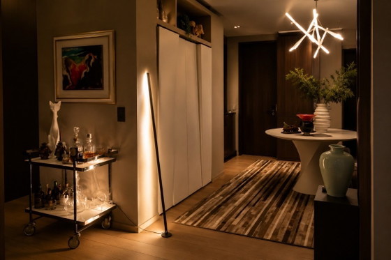 Image 1 of Gica Contra Floor Lamp 195 Black by Tommaso Cristofaro