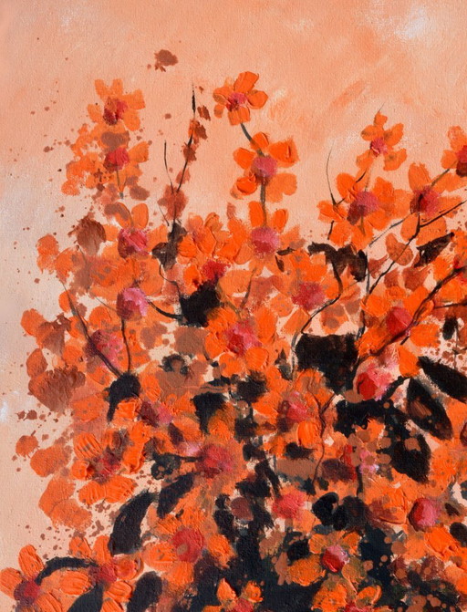 Colourful still life