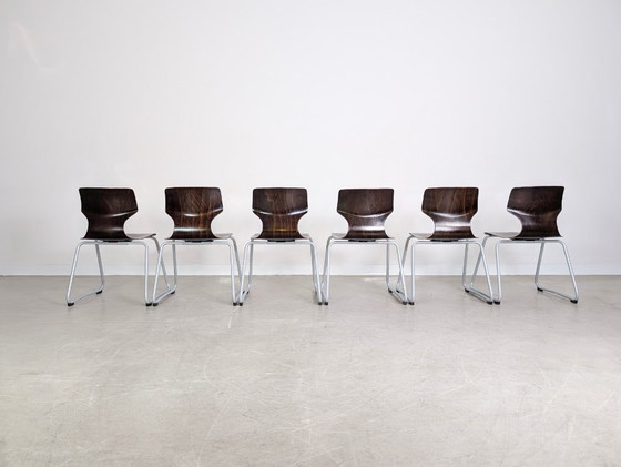 Image 1 of Conjunto original de 6 sillas de madera pavimentadas de mediados de siglo de Adam Stegner, silla ASS