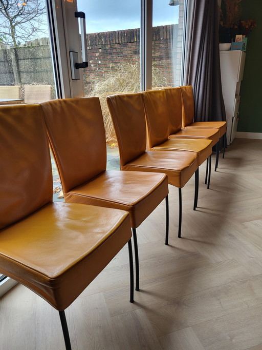 6 Montis Spica Chairs