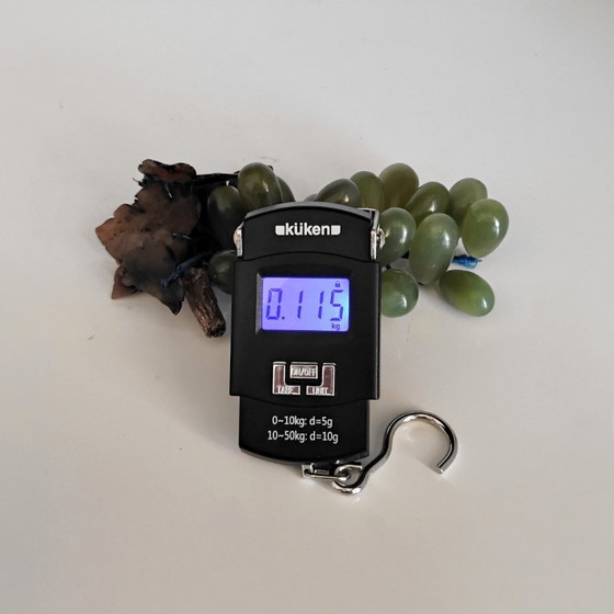 Image 1 of GRAPPOLO D'UVA DECORATIVO - ONICE / GIADA