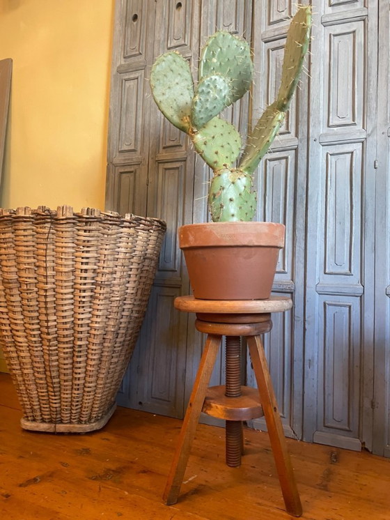 Image 1 of Swivel stool Stool Side table French