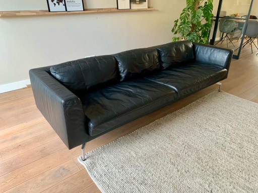 Habitación con sofá Wellis