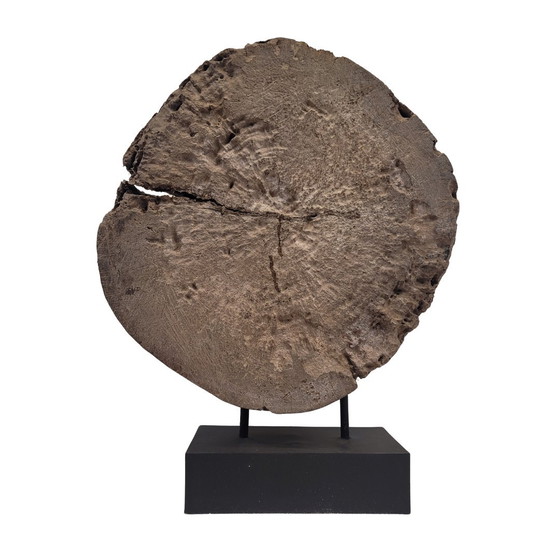 Image 1 of Beeldhouwwerk / Houtsnijwerk "Boeddha", 20e eeuw - Azië