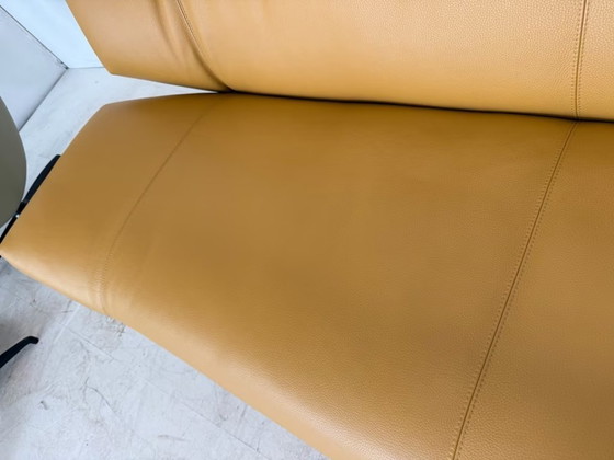Leolux Tango Divano in Pelle Design Classico – Divani, Metallo (photo 14 of 17)