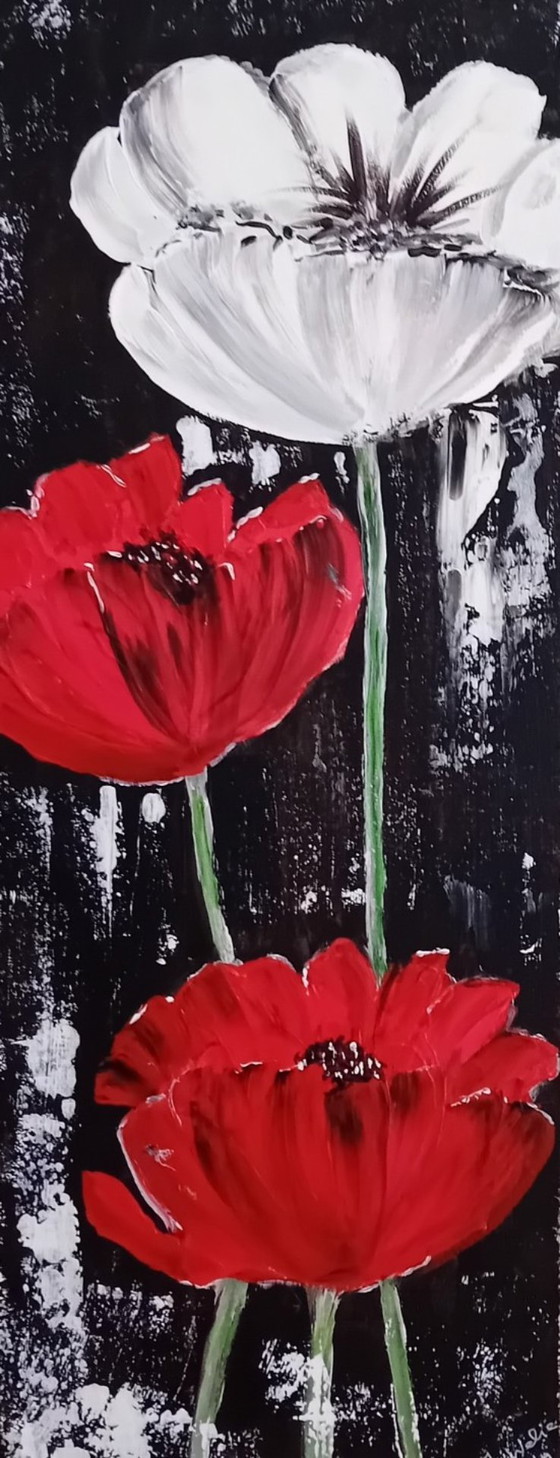 Image 1 of 2 luik klaprozen