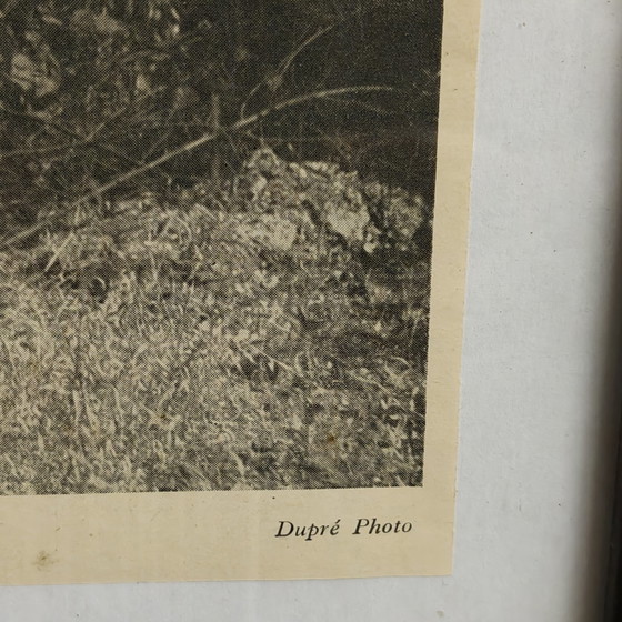 Image 1 of « Jours d'été » de Dupré (1948) | Photographie vintage encadrée