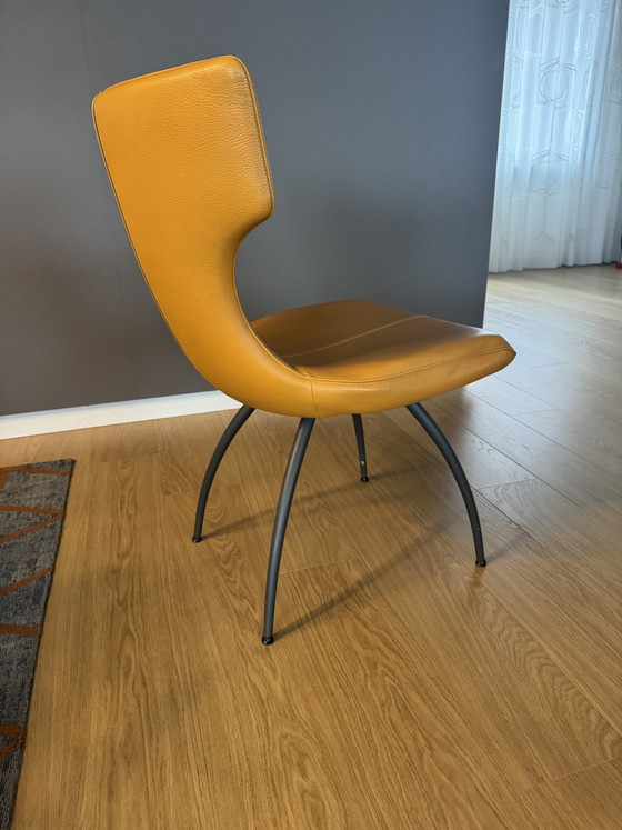 Leolux 6 Eetkamer Stoelen – Eetkamerstoelen, Leather, Metal (photo 3 of 6)